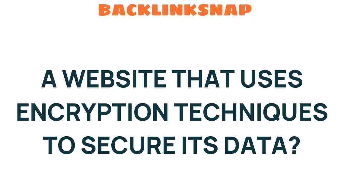 website-encryption-techniques-secure-data
