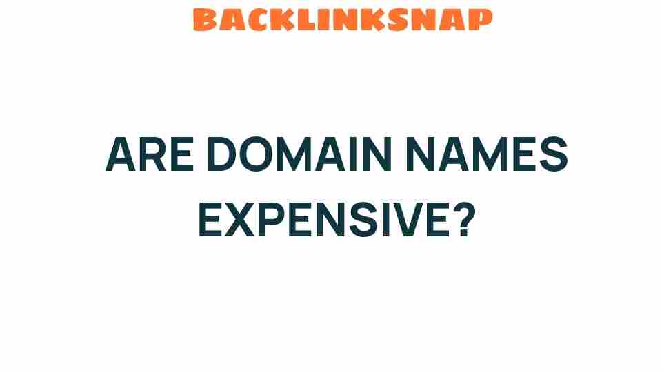 are-domain-names-expensive