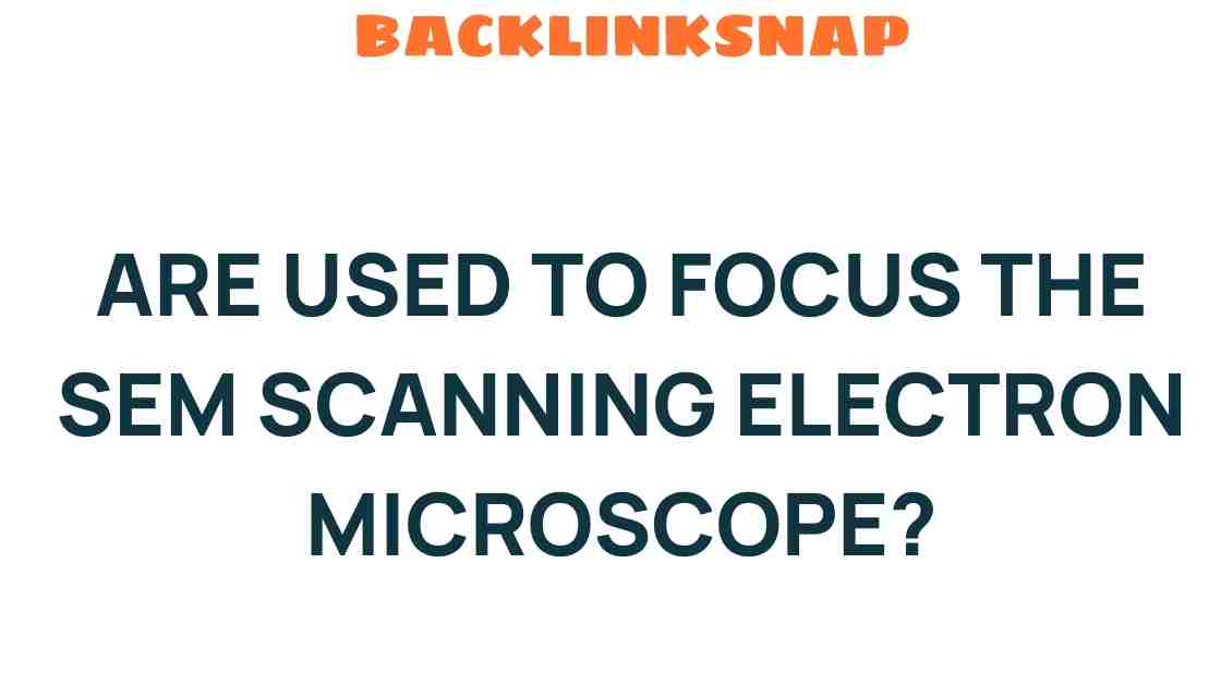 unveiling-secrets-focus-sem-scanning-electron-microscope