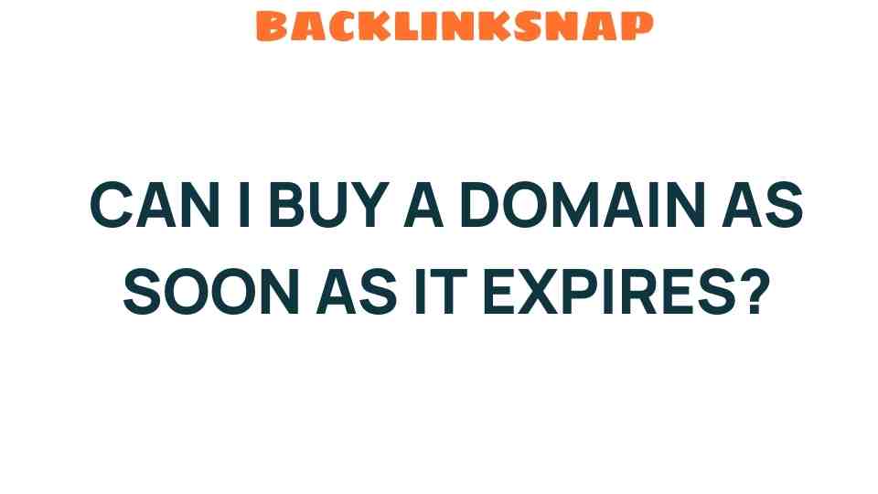 can-i-buy-domain-as-soon-as-it-expires