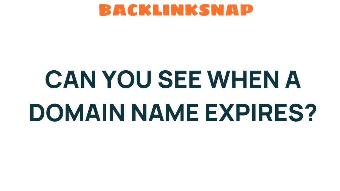 can-you-see-when-domain-name-expires
