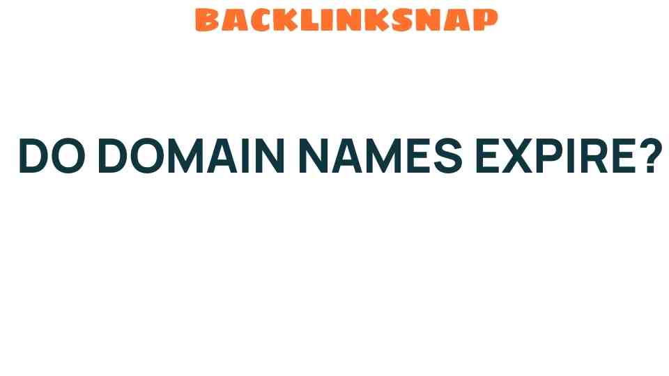 do-domain-names-expire
