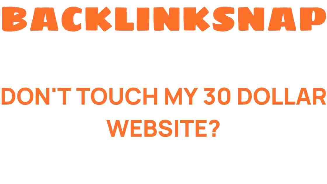 dont-touch-my-30-dollar-website