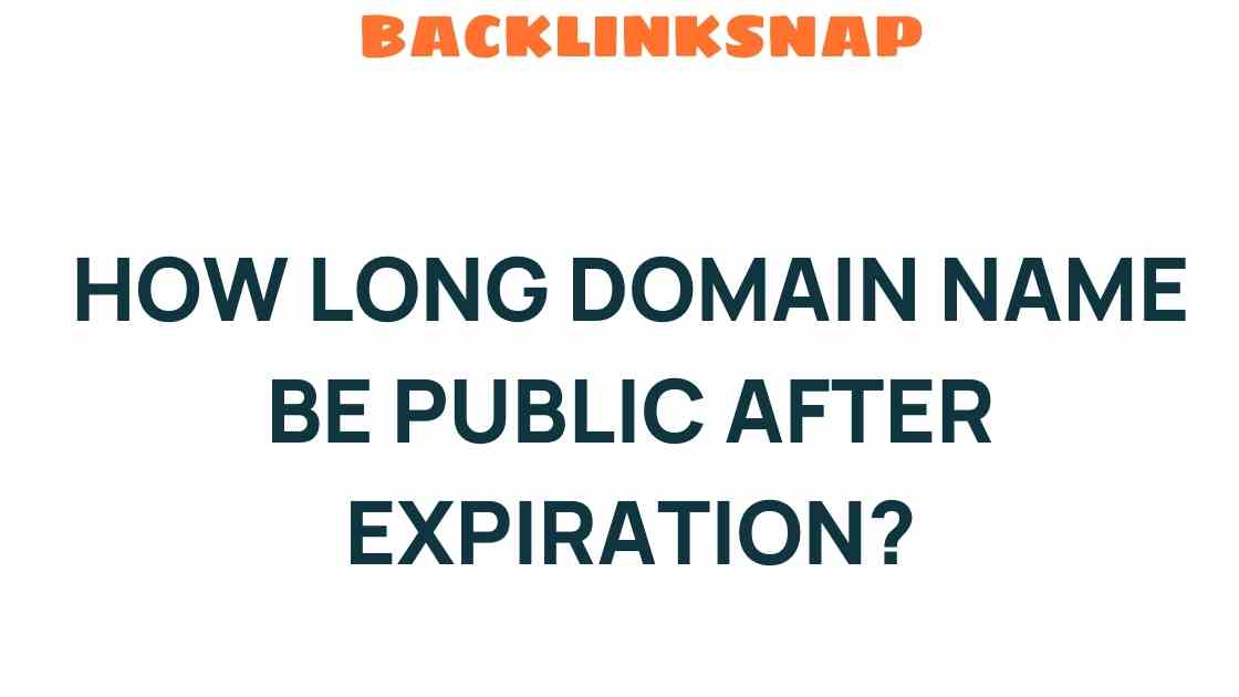 How Long Does a Domain Name Remain Public After Expiration?
