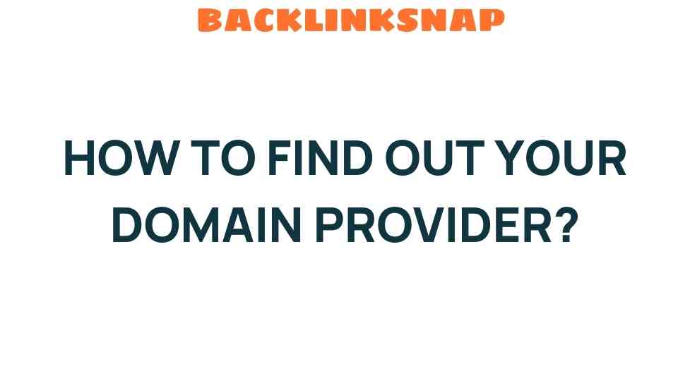 find-your-domain-provider