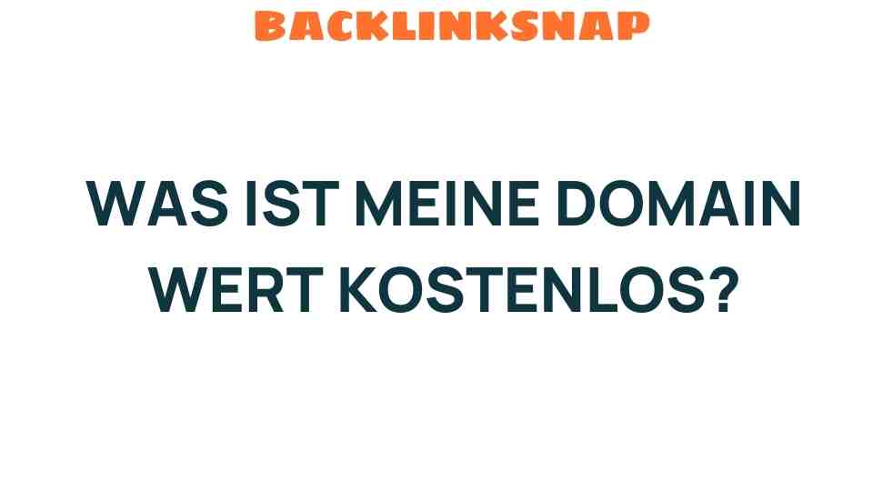 was-ist-meine-domain-wert