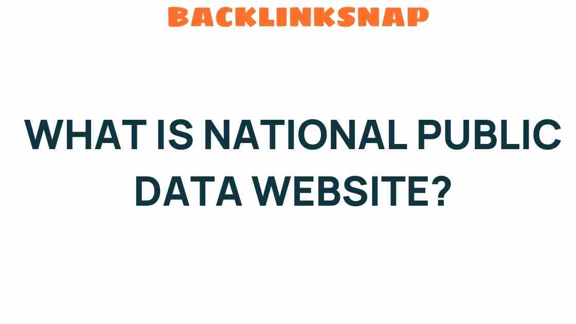 national-public-data-website-insights