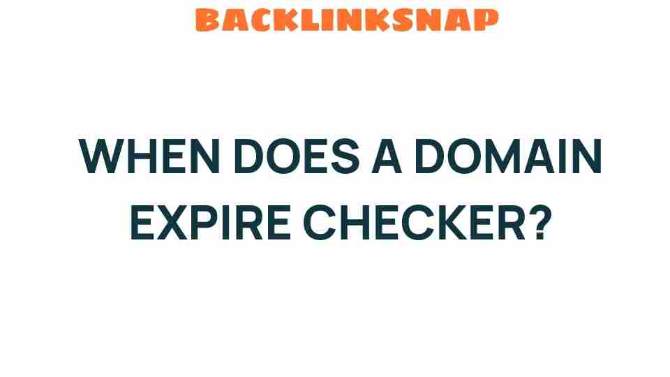 Unraveling the Mystery: When Does a Domain Expire Checker Work?
