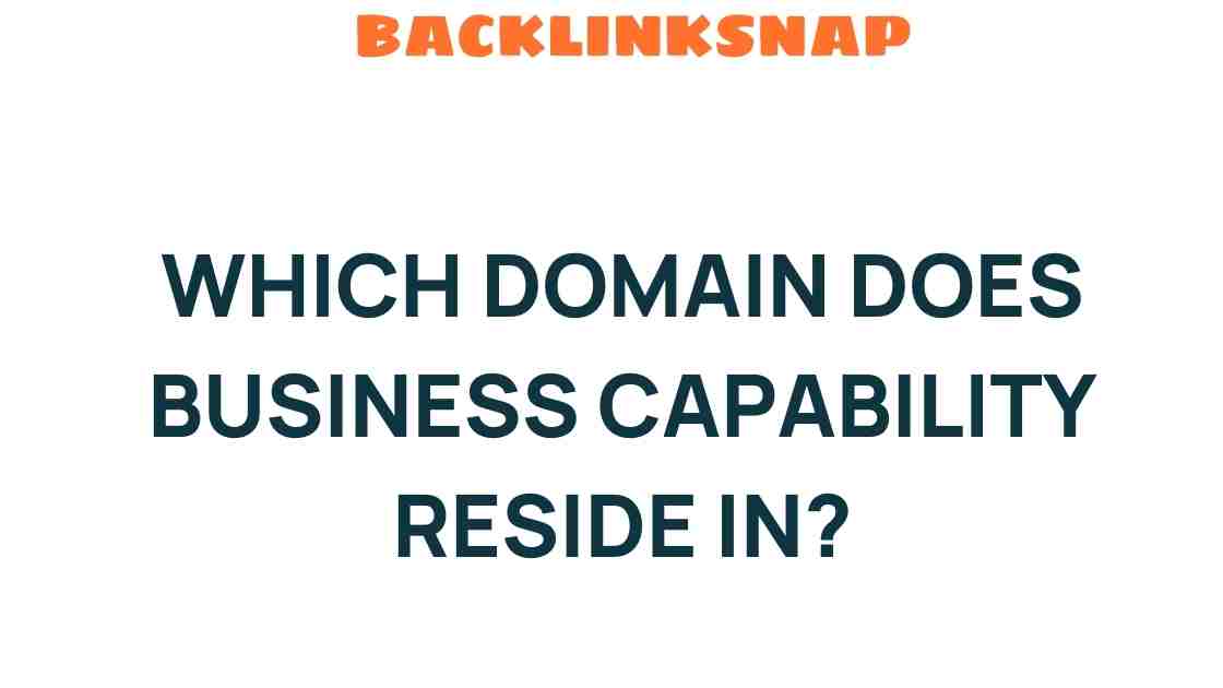 business-capability-domain