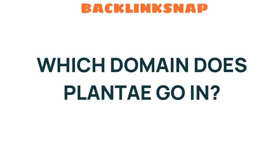 which-domain-does-plantae-belong-to