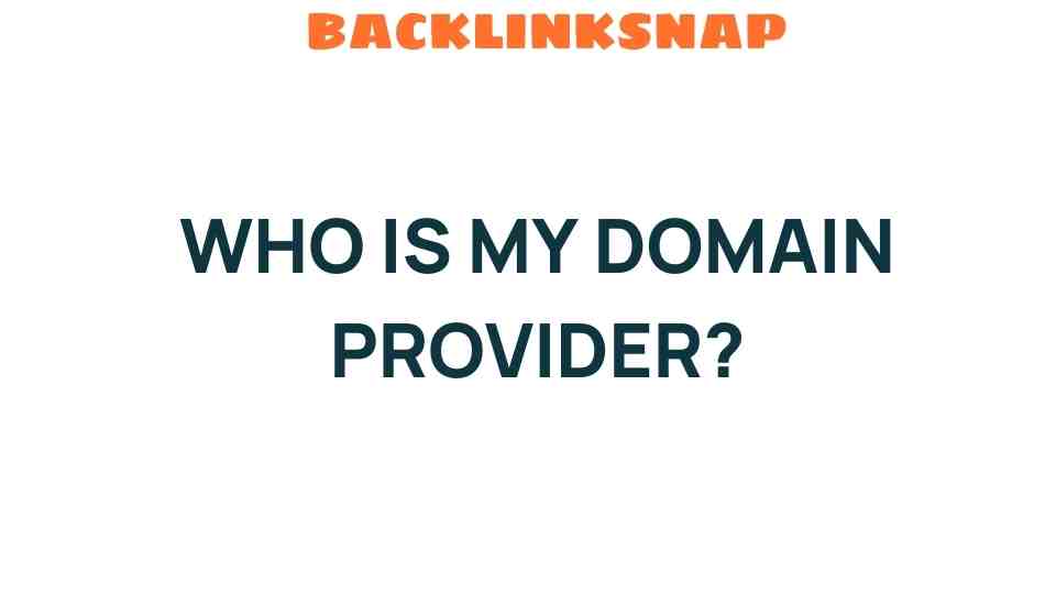 Unraveling the Mystery: Who Is My Domain Provider and Why It Matters