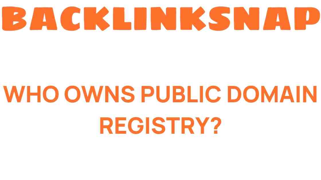 Who Owns Public Domain Registry? Unraveling the Mystery Behind Its Management