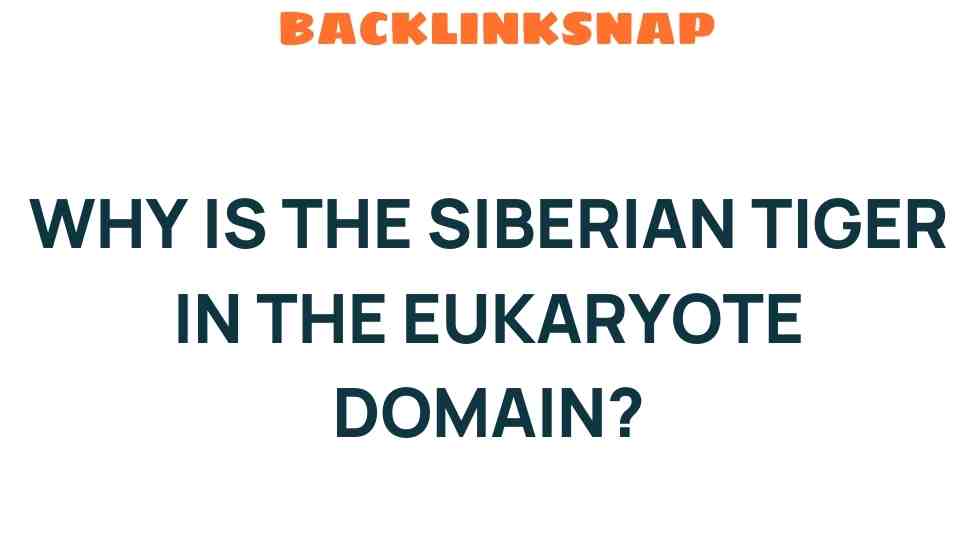 why-siberian-tiger-eukaryote-domain